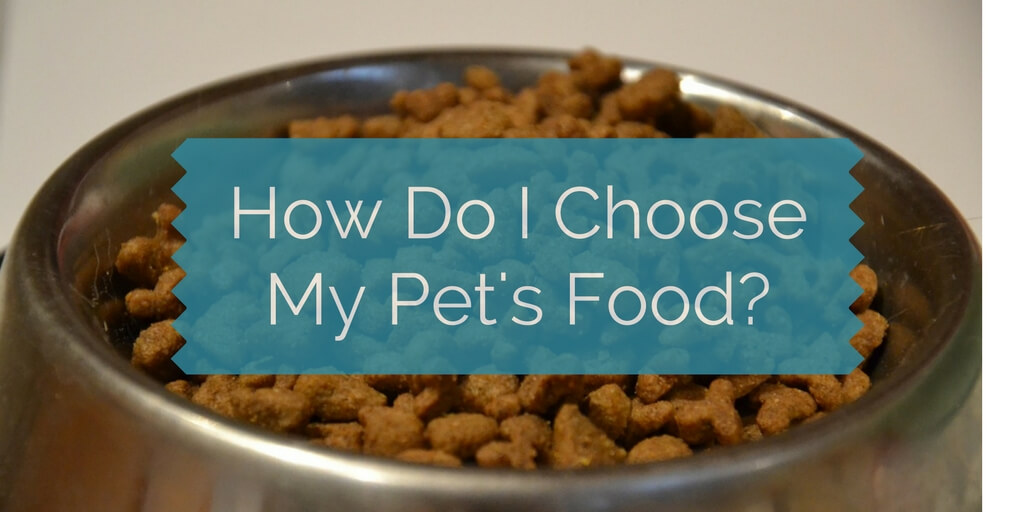 How Do I Choose My Pet's Food?