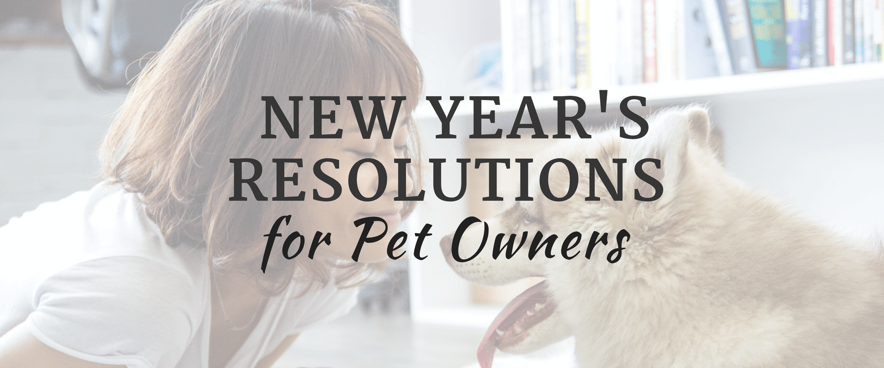 Top New Year's Resolutions for Pet Owners
