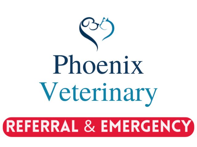 Phoenix Veterinary