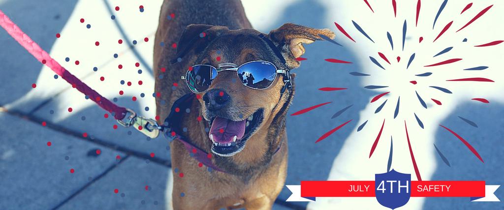Dog 4th of July