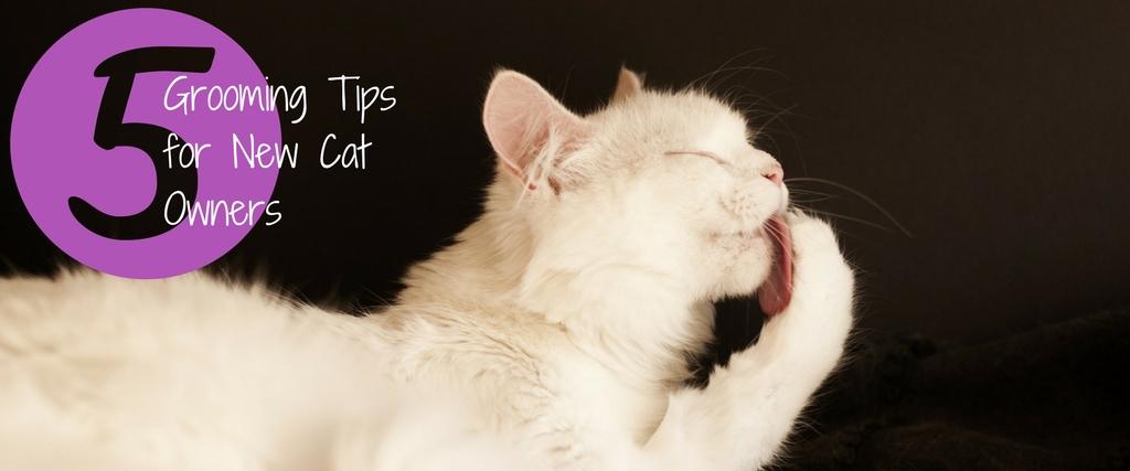 Cat grooming