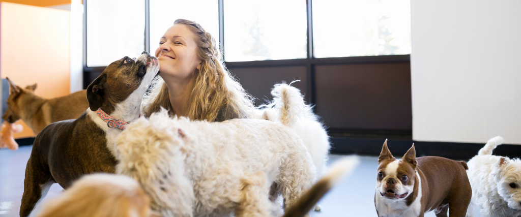 dog with owner