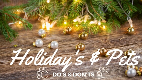 Holidays & Your Pets: Do's & Don'ts