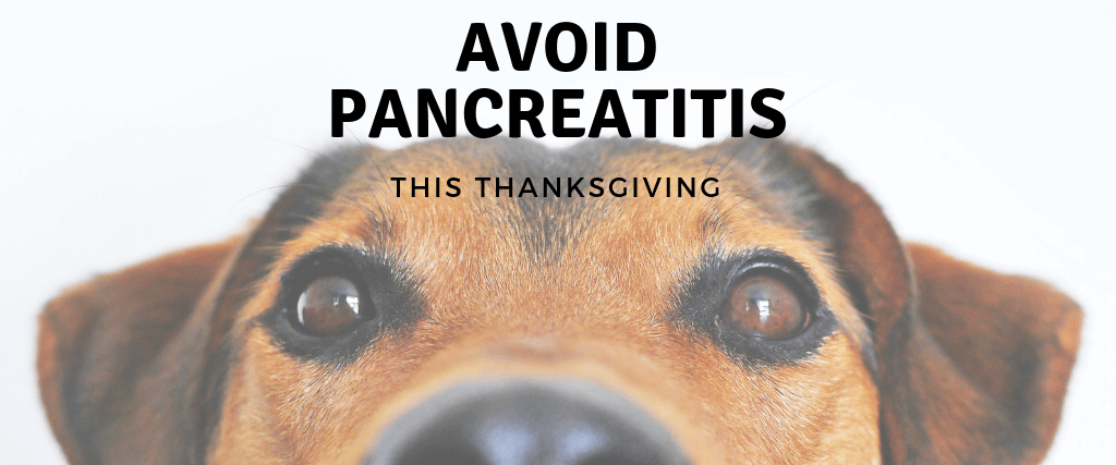 Avoid Pancreatitis This Thanksgiving