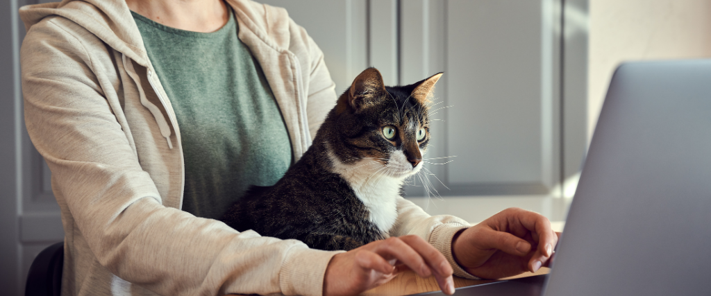 6 Tips For Success When Bringing Your Pet to Work 