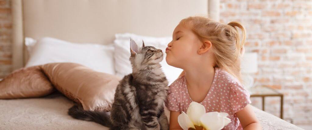 7 Tips For Raising a Healthy Cat in Honor of National Adopt a Cat Month