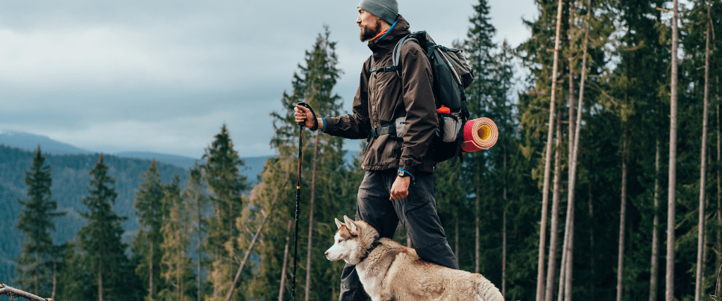 Dog Exercise Tips: How to Hike With Your Hound 