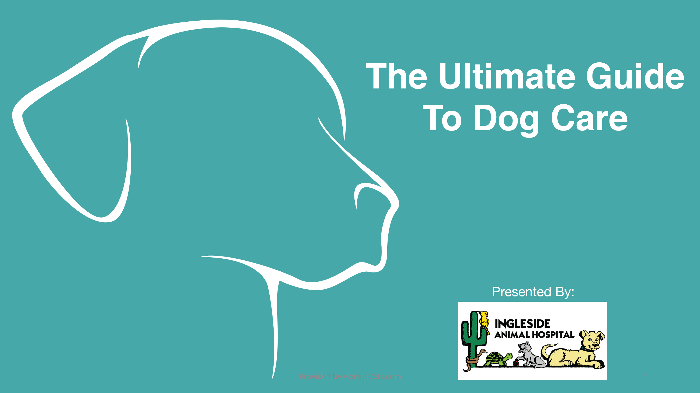 Get The Ultimate Guide To Dog Care