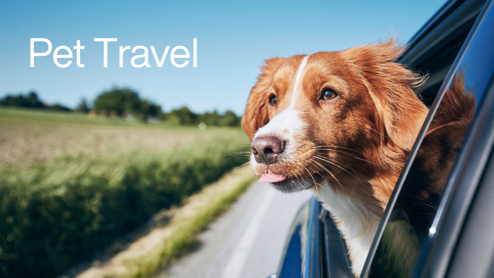 Pet Travel