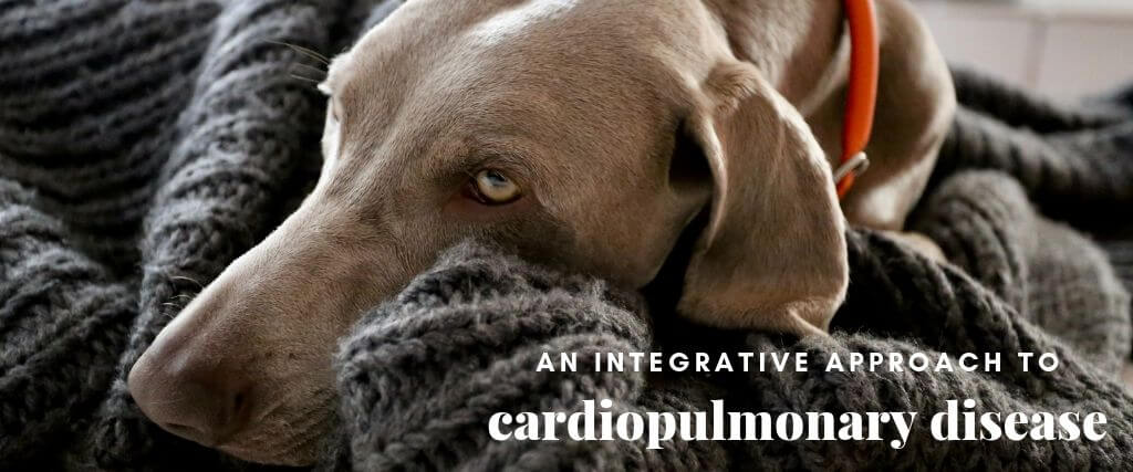 An Integrative Approach to Cardiopulmonary Disease