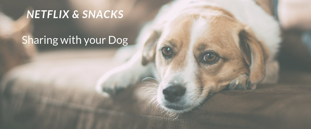 Netflix and Snack: What Foods are Safe to Share with your Dog