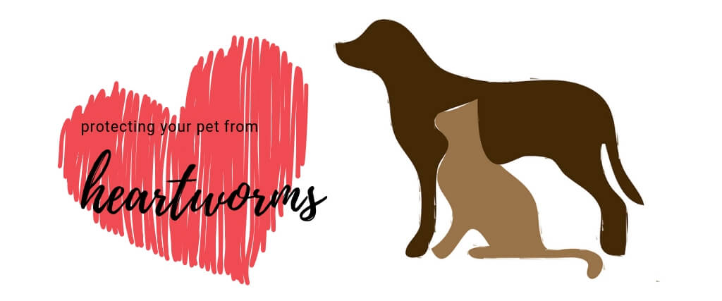 Protecting Your Pet from Heartworms