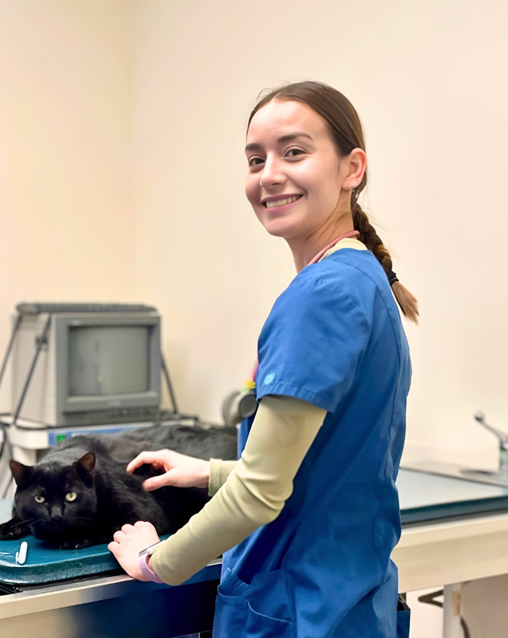 Cat Dental Care