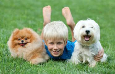 animal clinic animal clinic