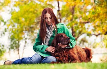 veterinarian