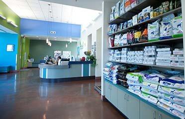 pet health pet health