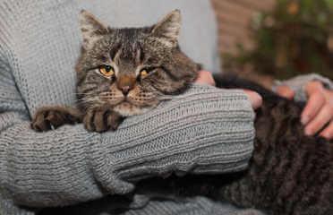 veterinary clinics near me veterinary clinics near me
