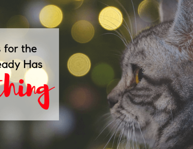 Holiday Gifts for the Cat Who Already Has Everything