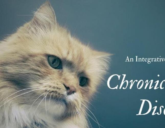 An Integrative Approach to Chronic Kidney Disease