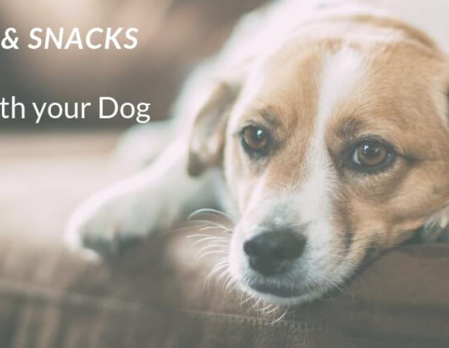 Netflix and Snack: What Foods are Safe to Share with your Dog