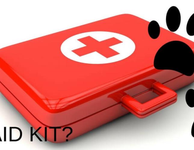 What Goes in Your Pet First Aid Kit?