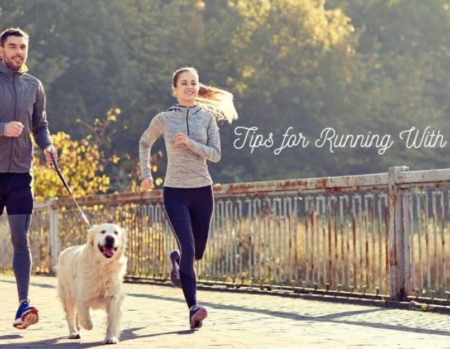 Tips For Running With Your Dog