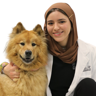 Dr. Hebah Mohamed