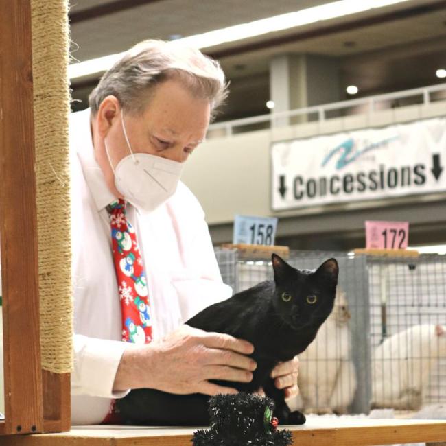Edward Scissorhand at cat show  2 - Ingleside Animal Hospital