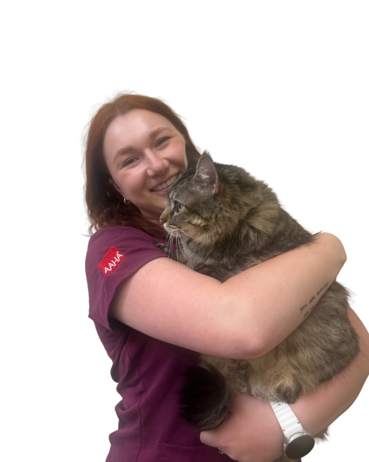 Katie_Cat