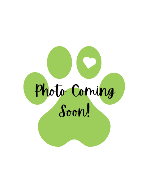 Coming Soon!