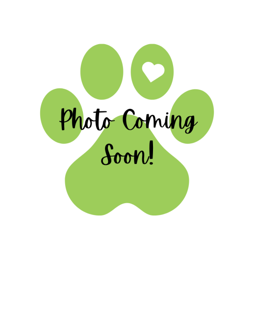 Coming Soon!