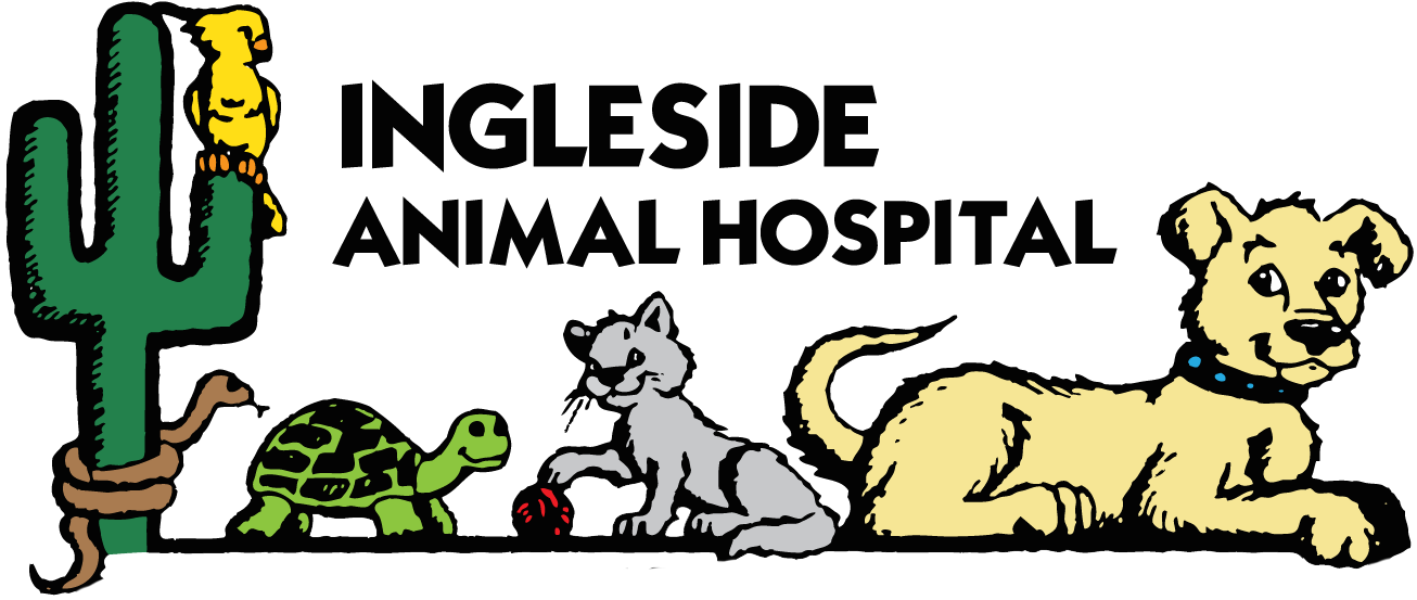 Ingleside Animal Hospital 