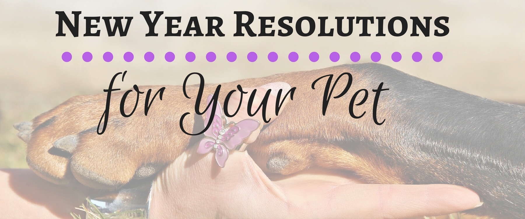 Top New Year Resolutions for Your Pet!